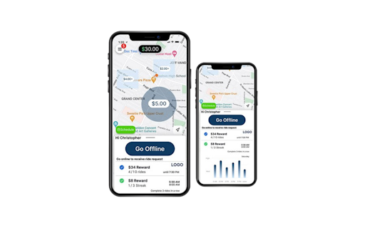 Goriderz SAAS p2p ridesharing & delivery