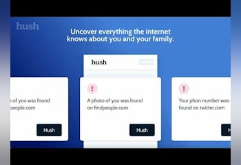 Hush Privacy AI