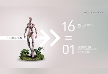 Ecosapien Carbon-Collectible
