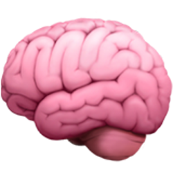 ABF (Audio Brain Focus)