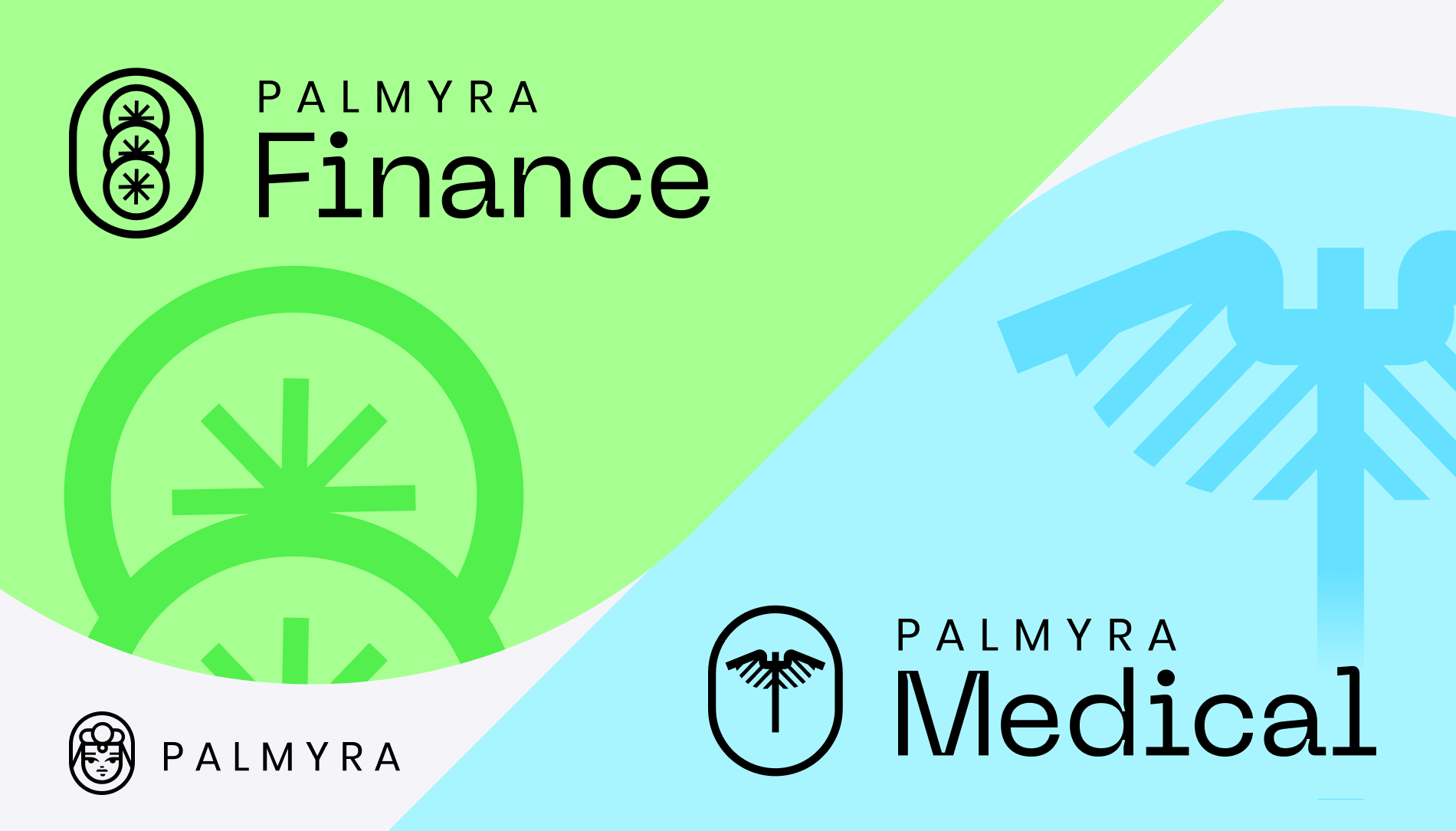Palmyra-Med and Palmyra-Fin