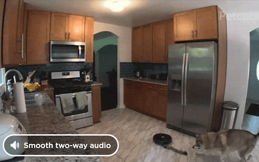 Petcube Cam 360