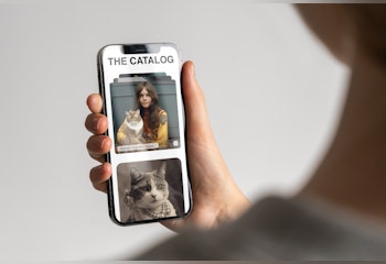 CATalog prompt library