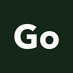 Go Vinted AI