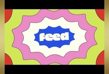 Feed