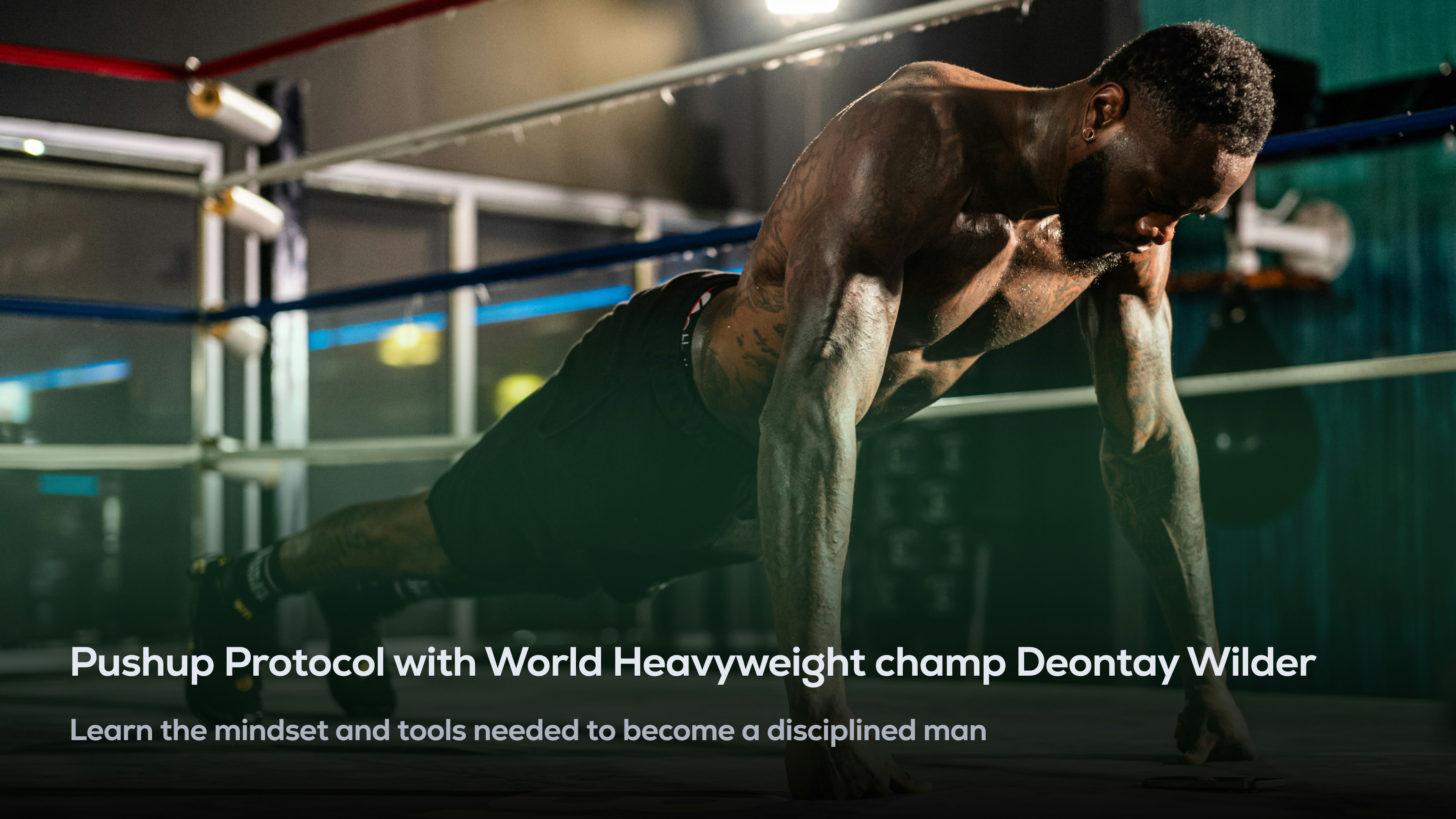 Mental's Pushup Protocol