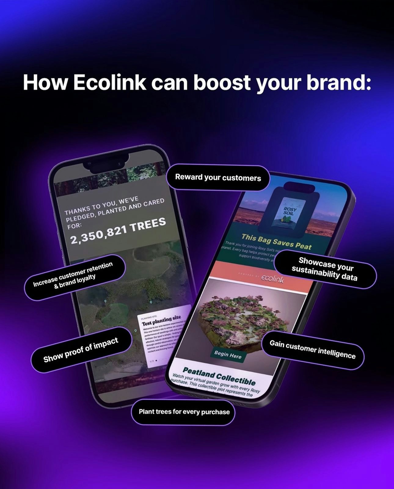 EcoLink 