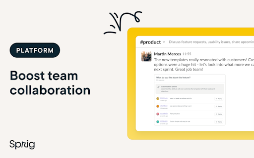 Sprig Replays & AI User Insights