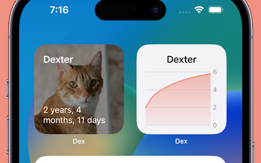 Dex - Pet care