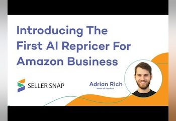 AI Amazon Business Repricer