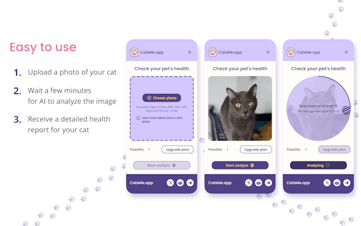 CatsMe.app