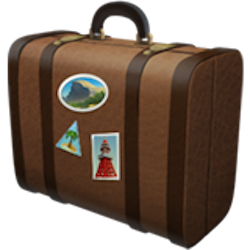 Luggage Losers