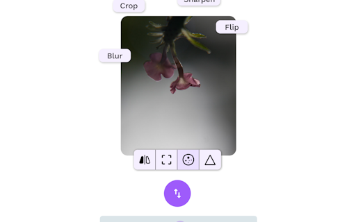 UniLink by Macula