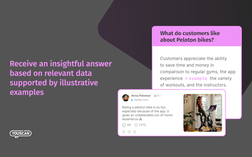 Insights Copilot by YouScan