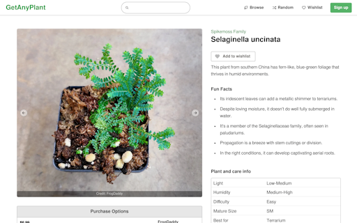 GetAnyPlant