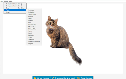 BG Remover