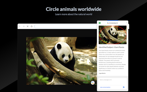 Circle to Search