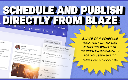 Blaze Designer