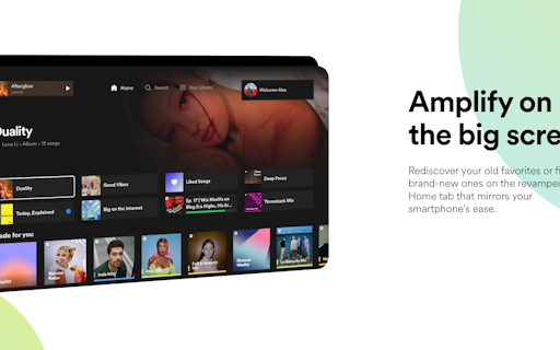 Spotify on TV