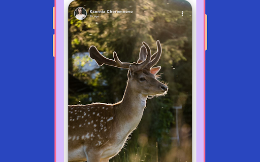 Fayvoo Entertainment App