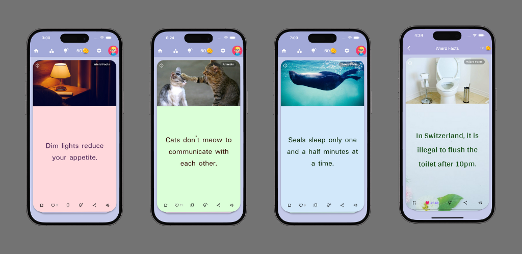 FactJano: Fun & Easy Learning