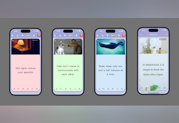 FactJano: Fun & Easy Learning