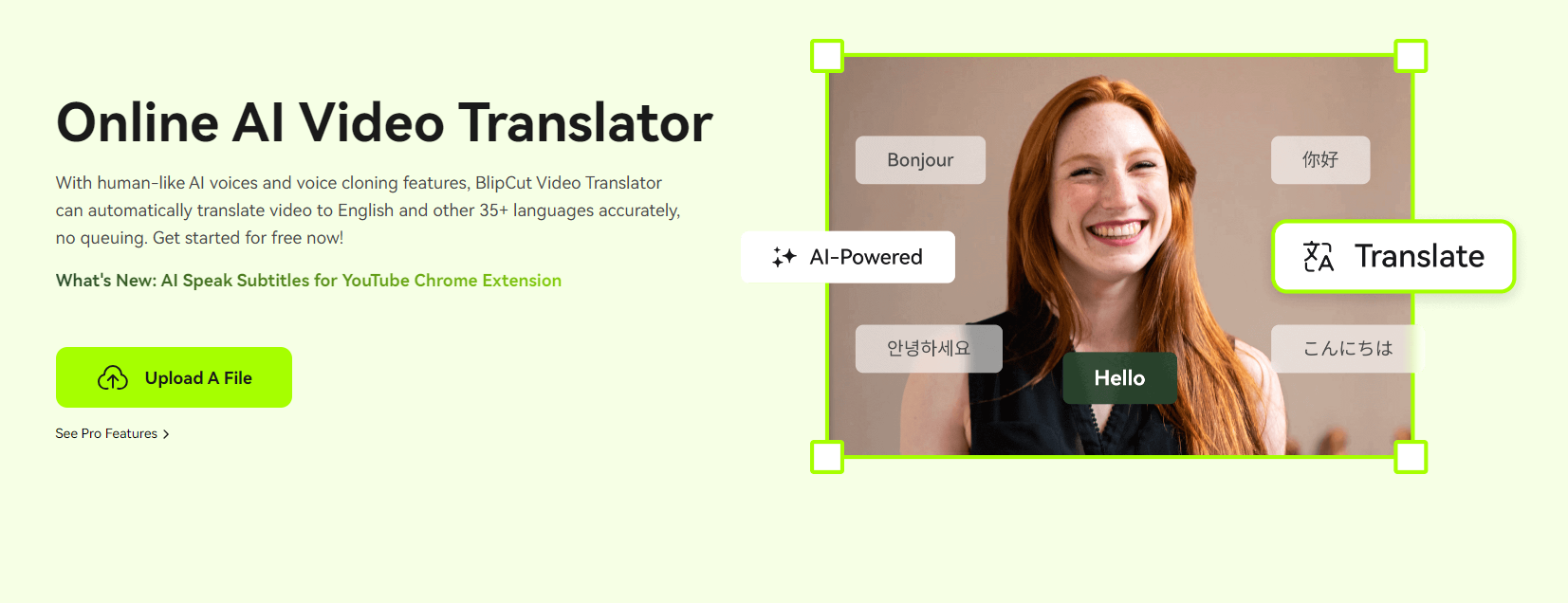 BlipCut AI Video Translator