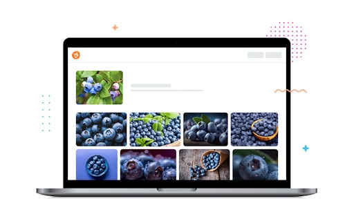 AI Reverse Image Search