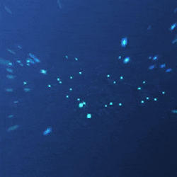 Pixite.ai