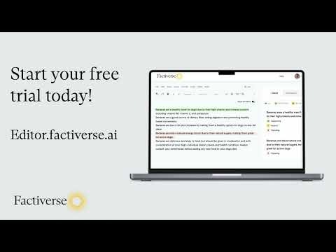 Factiverse AI-Editor