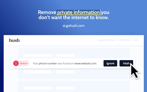 Hush Privacy AI