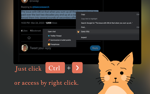 Query Kitty