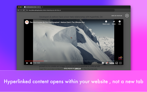 Linkz.ai 3.0