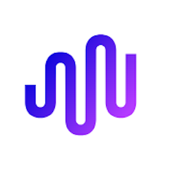 LoyalPulse