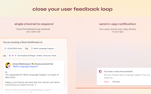 Feedback Widget by Olvy