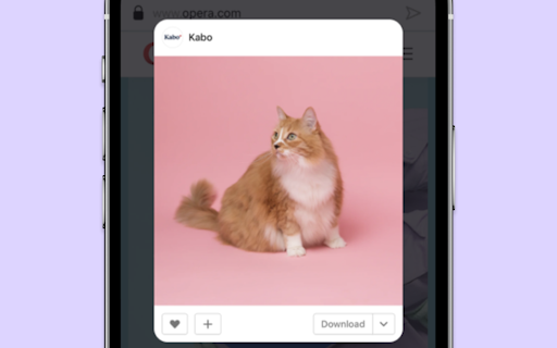 Opera Aria for iOS