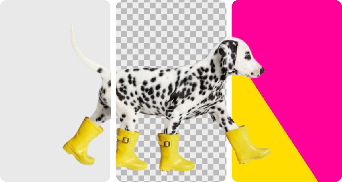 SocialBook Background Remover and Editor