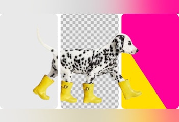 SocialBook Background Remover and Editor