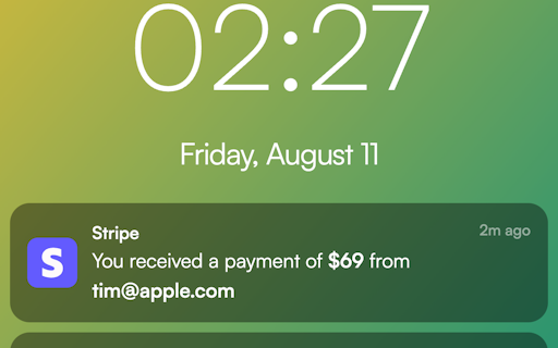 Stripe Payment Notification Generator