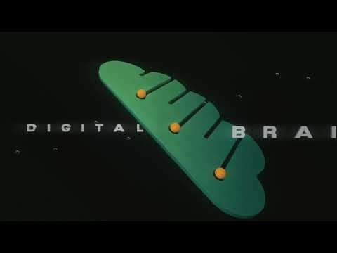 Digital Brain x Lokki