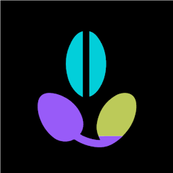RandomSeed Playground