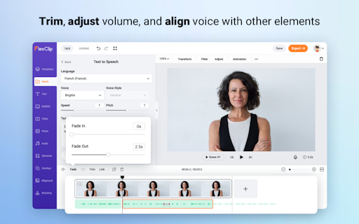 Text to Speech by FlexClip