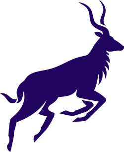 NYALA Digital Asset