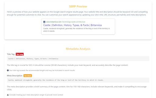 Free Website SEO Scanner Tool