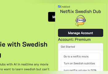 Netflix Swedish Dub