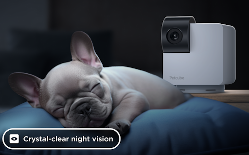 Petcube Cam 360