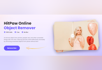 HitPaw Online Object Remover
