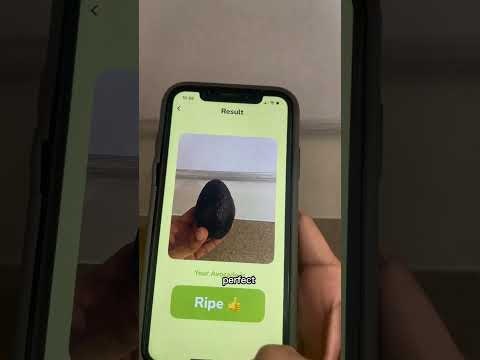 RipeOrNot AI - For Avocados