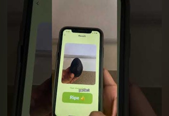 RipeOrNot AI - For Avocados