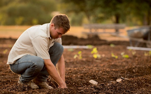 The Regenerative Resource
